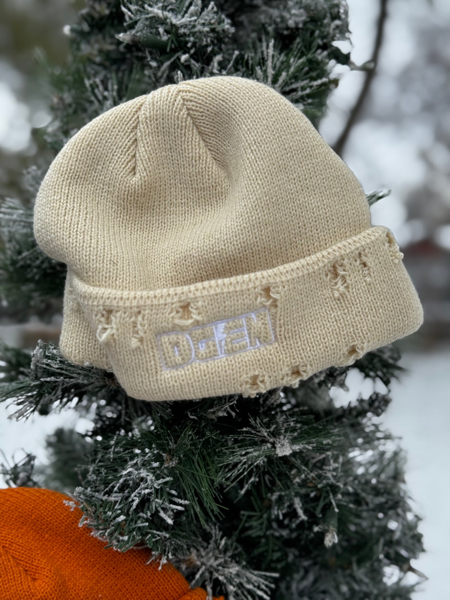 Distressed Beanie